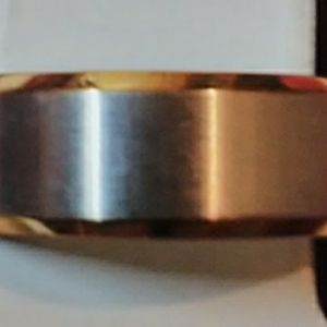 Men's Stainless Steel with Gold Plated Ring